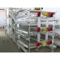 Automatic Rearing Layer Cage for Poultry Equipment
